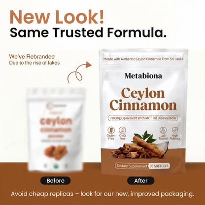 Metabiona Ceylon Cinnamon Complex, High Strength with MCT Oil