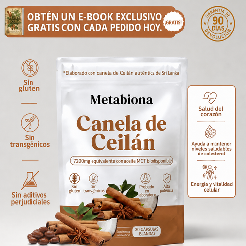 Metabiona Complejo de Canela de Ceilán, Alta Concentración con Aceite MCT